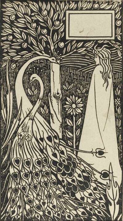 Illustration du livre Le Morte d