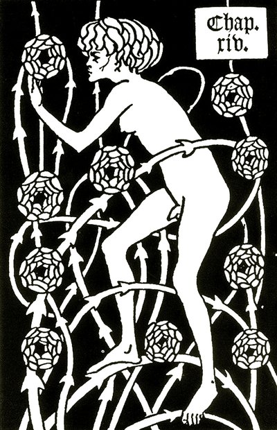 Hermaphrodite parmi les roses de Le morte d