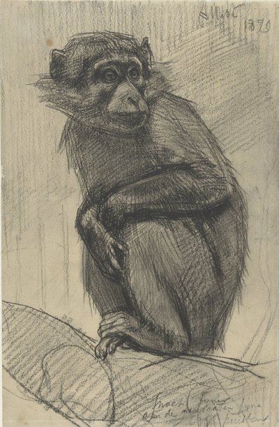 Singe sur une branche - August Allebe