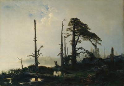 Lac dans le brouillard - August Cappelen
