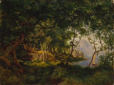 Étude de paysage - August Cappelen
