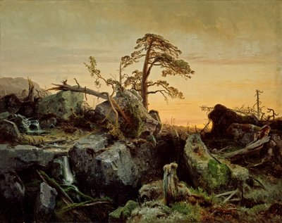 Forêt vierge mourante - August Cappelen