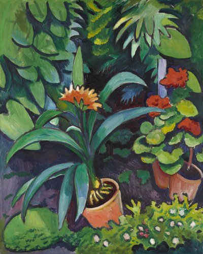Fleurs dans le jardin, Clivia et Pélargoniums - August Macke