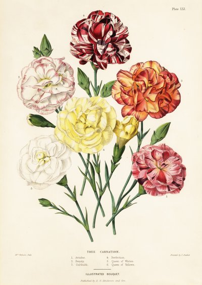 Variétés d
