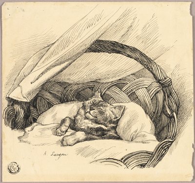 Chat endormi dans un panier - Auguste Andre Lancon