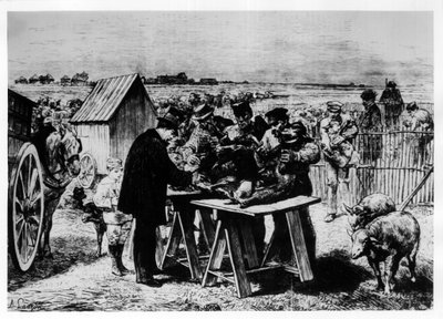 Vaccination des moutons par Pasteur, gravure par A. Lançon - Auguste Andre Lancon