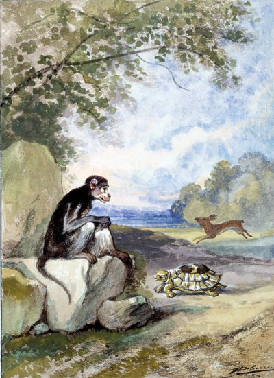 Illustration de la fable "Le lièvre et la tortue" par Jean de La Fontaine - Auguste Delierre