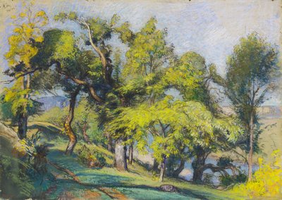 Châtaigniers au-dessus d