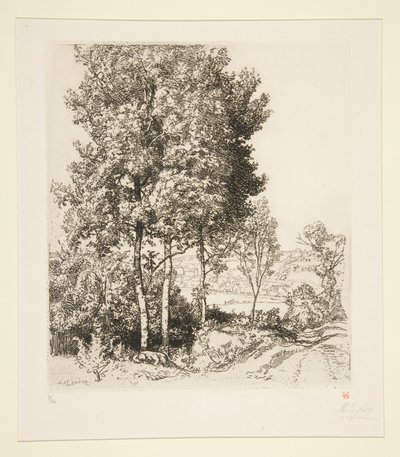 La vallée du Petit Morin près de Verdelot (Seine-et-Marne) - Auguste Lepere