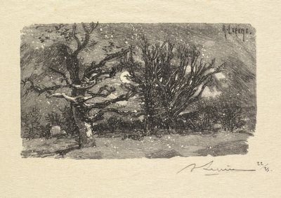 Forêt de Fontainebleau : Au dormoir de Lantara, 1890 - Auguste Louis Lepère