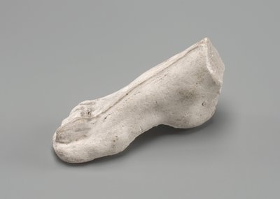 Pied droit, possiblement 1880 - Auguste Rodin