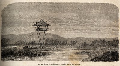 Un gardien de riz, près de Batavia (Jakarta actuel). Dessin de M. de Molins, pour illustrer son voyage à Java - Auguste de Molins