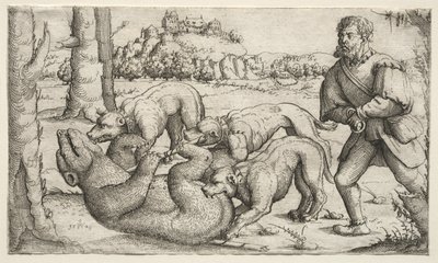 Une chasse à l