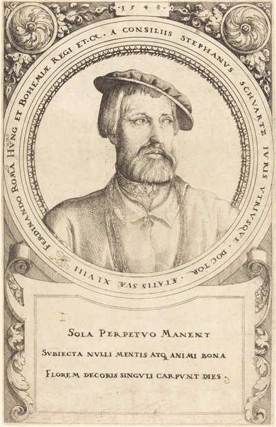 Docteur Stephen Schwartz, 1548 - Augustin Hirschvogel