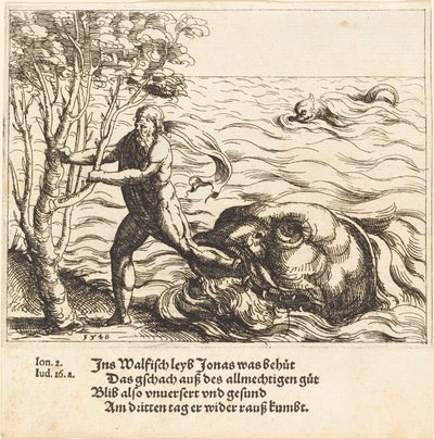Jonas est délivré de la baleine - Augustin Hirschvogel