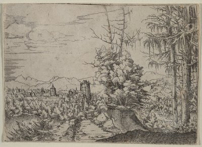 Paysage avec deux pins - Augustin Hirschvogel