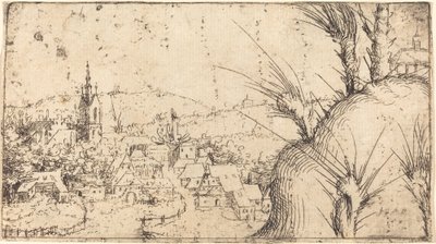 Paysage avec une Ville à Gauche - Augustin Hirschvogel