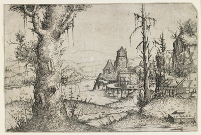 Grand arbre et château sur un lac - Augustin Hirschvogel