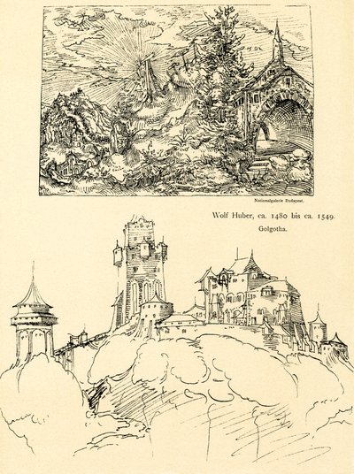 Étude de la nature - Augustin Hirschvogel