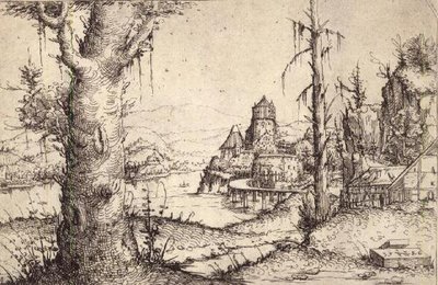 Paysage fluvial avec un arbre robuste - Augustin Hirschvogel