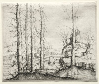 Paysage fluvial avec cinq épicéas nus au premier plan - Augustin Hirschvogel