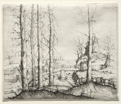 Paysage fluvial avec cinq épicéas nus au premier plan - Augustin Hirschvogel
