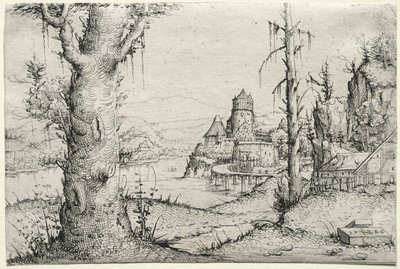 Paysage fluvial avec grand arbre à gauche - Augustin Hirschvogel