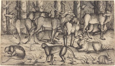 Cerfs dans la Forêt - Augustin Hirschvogel