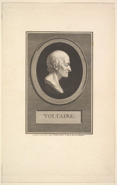 Portrait de Voltaire (1801) - Augustin de Saint Aubin