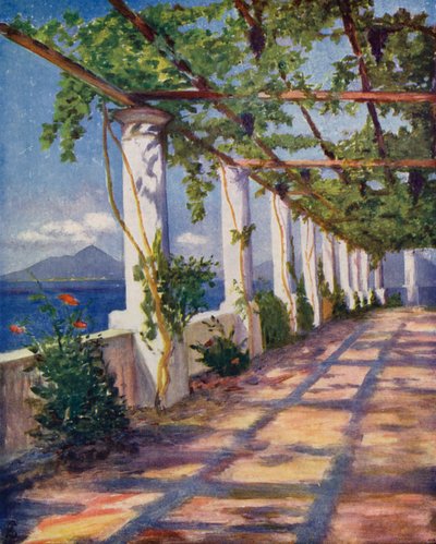 Pergola - Augustine Fitzgerald