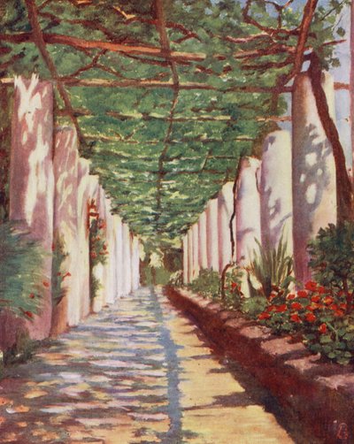 Terrasse de l