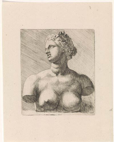 Buste de Vénus de Médicis, vers la gauche - Augustinus Terwesten (I)