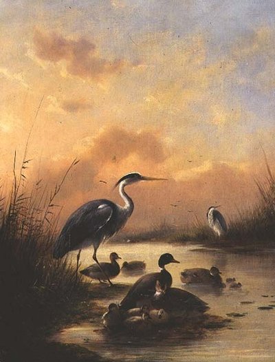 Une famille de canards colverts et deux hérons - Augustus Knip