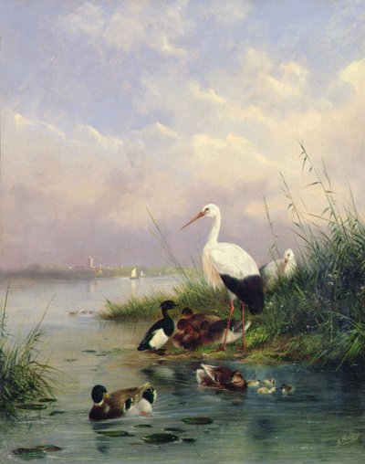 Une famille de colverts, deux cigognes et une famille de canards huppés - Augustus Knip