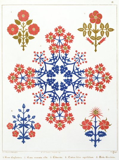 Motif de papier peint avec violette, iris et tulipe, imprimé par M. et N. Hanhart - Augustus Welby Northmore Pugin