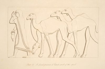 Une prisonnière et un chameau, illustration des Monuments de Ninive, 1849 - Austen Henry Layard