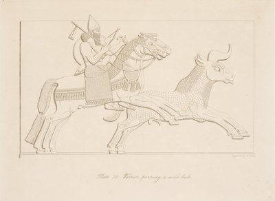 Guerrier poursuivant un taureau sauvage, des Monuments de Ninive, pub. 1849 - Austen Henry Layard