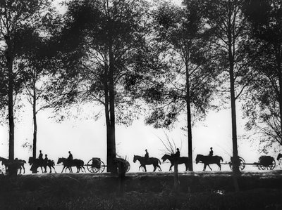 Vue en silhouette des limbers d