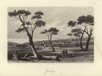 Geelong - Australian School