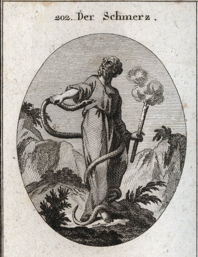 Allégorie de la douleur. Un serpent monstrueux entoure celui qui, après avoir lié ses pieds, gagne son corps et tente de mordre son cœur. Elle tient une torche qui fume encore, ce qui signifie que l