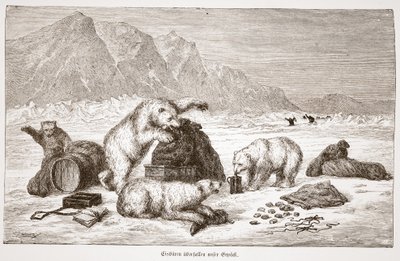 Les ours polaires attaquent nos bagages, pub. Vienne 1876 (gravure) - Austrian School
