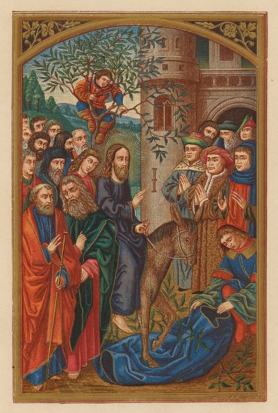 Hosanna Filio David - Austrian School