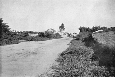 Colonie de S. Bernardo, Colonie de São Bernardo do Campo, 1895 - Axel Frick