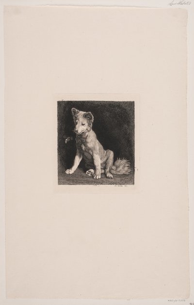 Le chien et l
