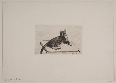 Danois : Chat couché - Axel Hou