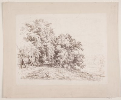 La route bordée de haies passant par des arbres et des prés - Axel Schovelin