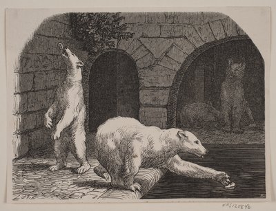 Ours au Jardin des Plantes - Axel Theodor Kittendorff