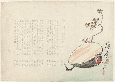Coquillage - Ayaoka Yûshin