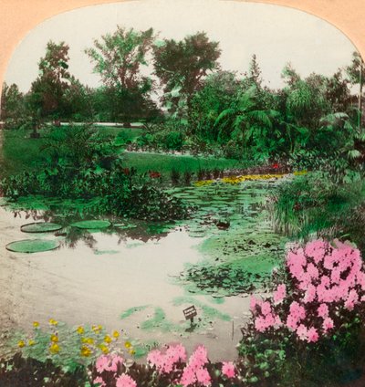 Étang aux nénuphars, Tower Grove Park, St. Louis, Mo., U.S.A., 1897 - B. L. Singley