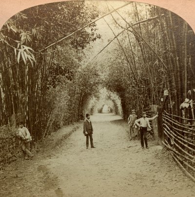 Le Mardyke, Cork, Irlande - B. W. Kilburn